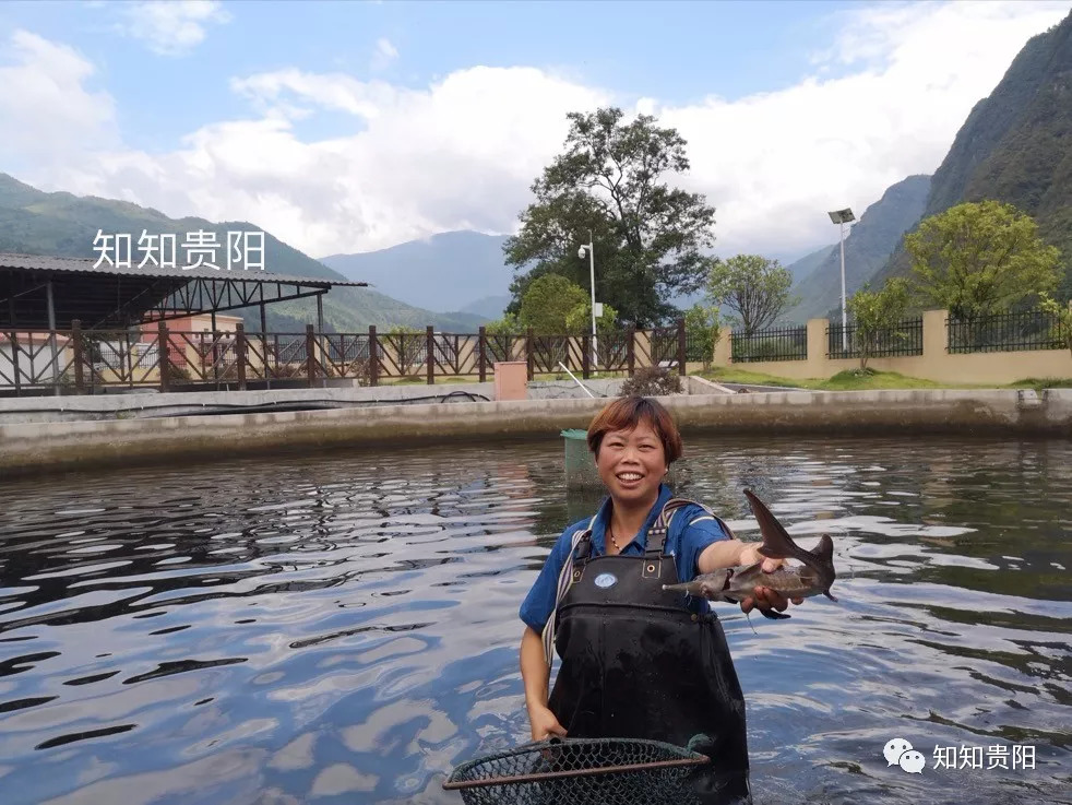 姊靛噣灞辩湅鍒版按涓椿鍖栫煶,鐭ョ煡璐靛窞