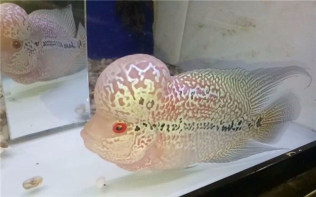 这些事千万不要做,这些事情千万不要做