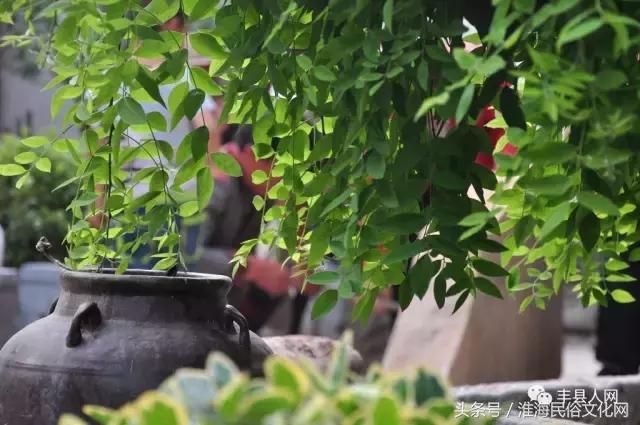 于氏家祠的守护者——于世森和他的宗亲们