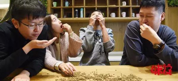 这群人用生命吃了最常见的19款狗粮，吃到最后都吐了……