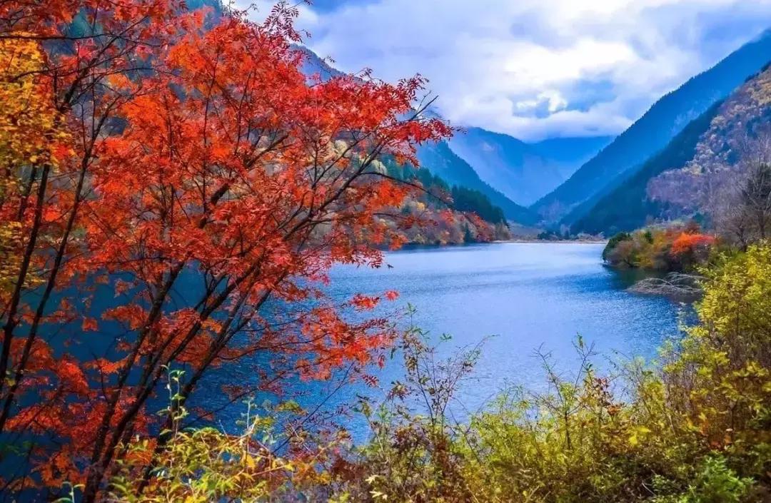 四川秋景第一名,四川欣赏秋景好去处