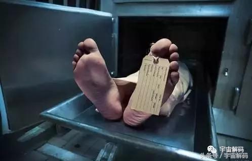 老人死后有飞蛾科学解释,死亡有什么科学解释