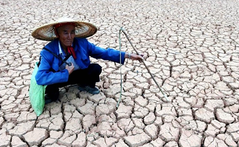 临朐最常用的土话,临朐话怎么说日常用语