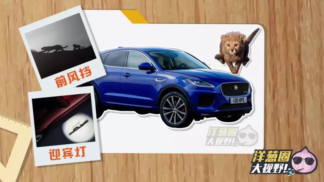 捷豹xfl和捷豹xf哪款车头有小豹子,捷豹紧凑型suv报价