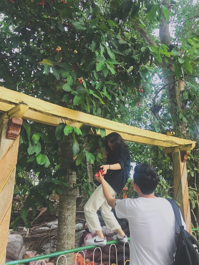 越南由南到北旅游方式,5000元越南8天7晚旅行全攻略