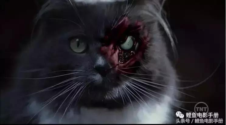 恐怖片僵尸吸血鬼,吸血鬼僵尸恐怖电影