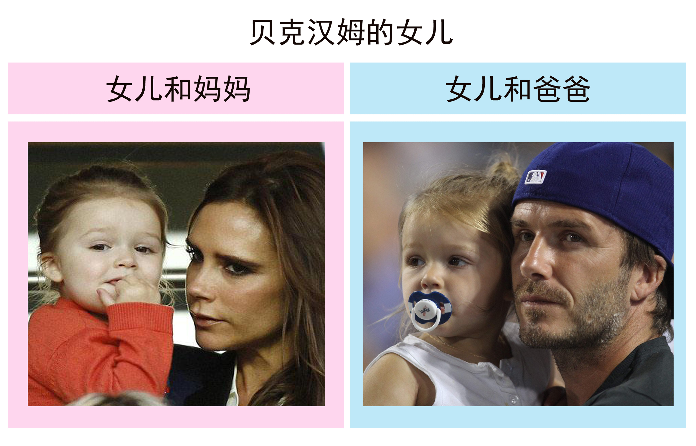 女孩的长寿基因随爸爸还是妈妈,女儿长相随爸爸