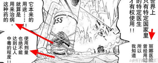 海贼王0-200剧情,海贼王的100个细节