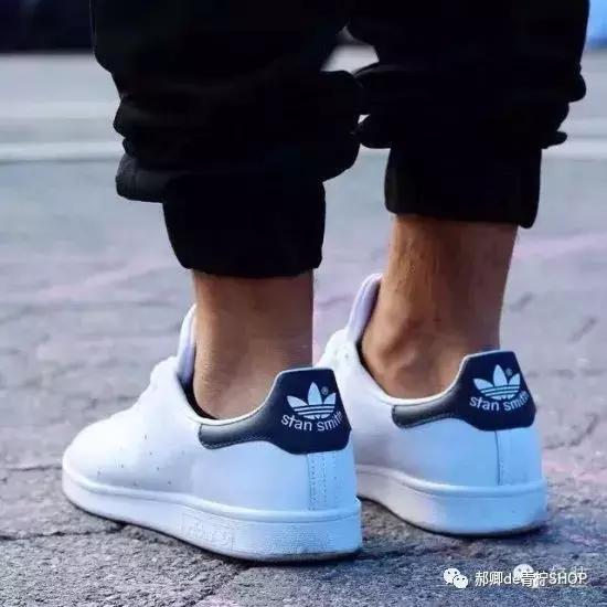 为什么绿尾少,绿尾是什么