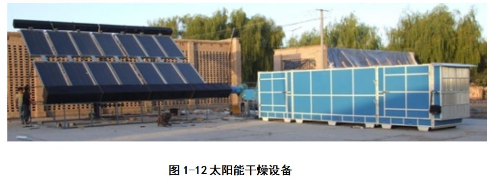 果蔬热风干燥过程,果蔬干制技术应用与研究进展