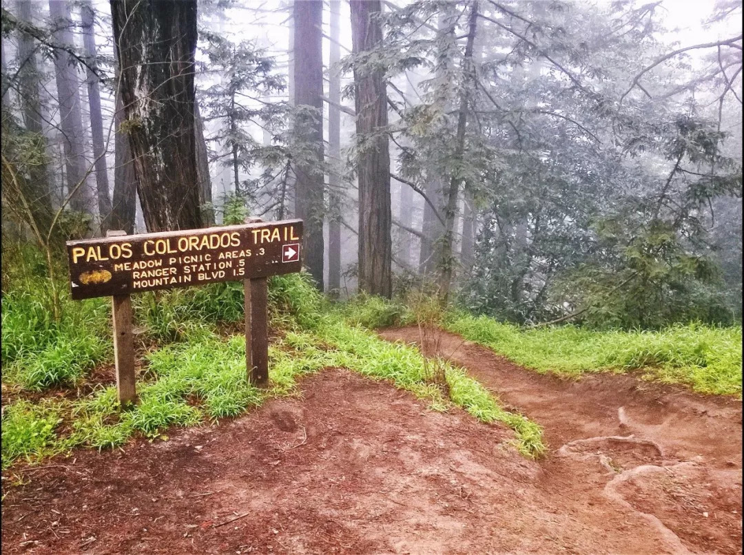芝加哥徒步推荐,芝加哥跑法攻略