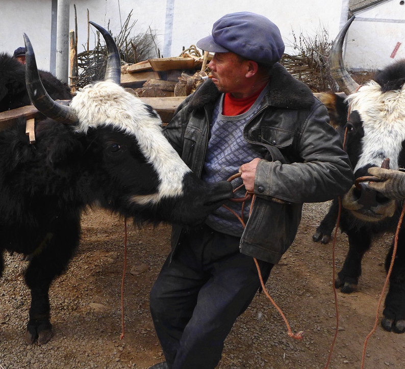 说到底，临朐土话“加拉伍的”原本是一句省略语