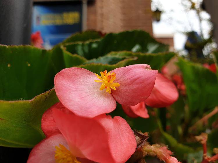 三星GalaxyNote9体验：一次实用优先的「S」升级