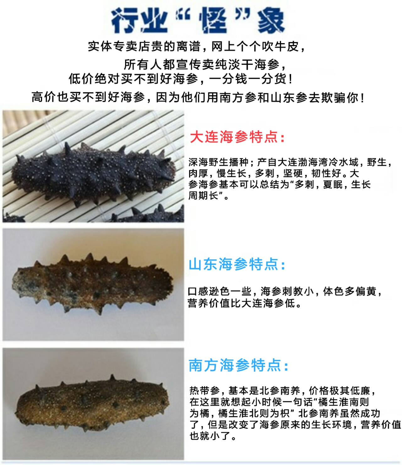 太热情，应邀来给大家介绍下家乡大连长海野生海参和当地生活！