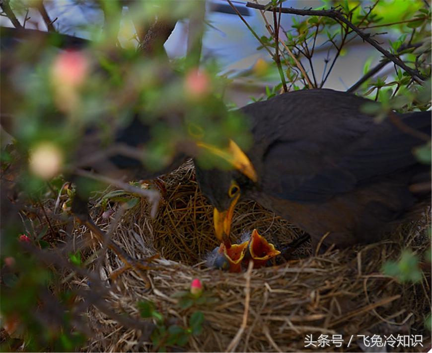 联想，该醒醒了！真要用行动证明“千里之堤溃于蚁穴”?