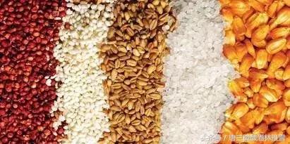 酱香型酒厂酿酒设备,纯粮酿酒新型设备