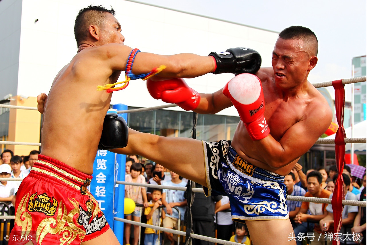 拳击跆拳道泰拳哪个杀伤力大,泰拳最猛烈招式能打赢跆拳道吗