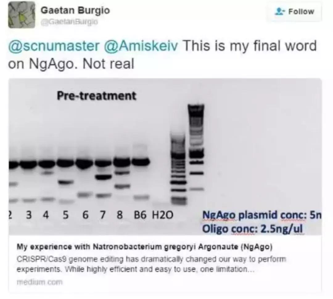 韩春雨事件调查结果,韩春雨论文事件