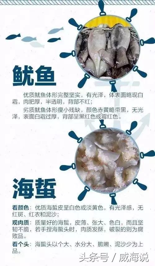 炫富卖海鲜的,威海开海去哪买海鲜