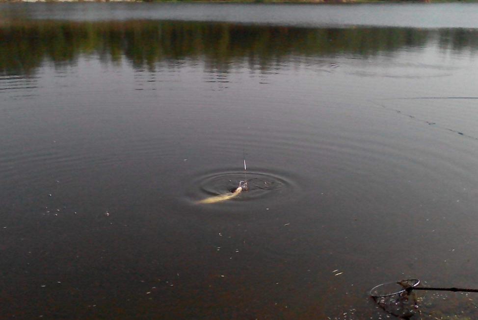 子线太长改短教学,长时间不上鱼用加快节奏吗