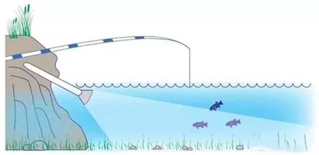 夜钓灯光钓鱼效果,晚上夜钓用什么灯光最合适