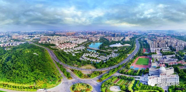 智领未来，“雨花软件”怒放创新名城