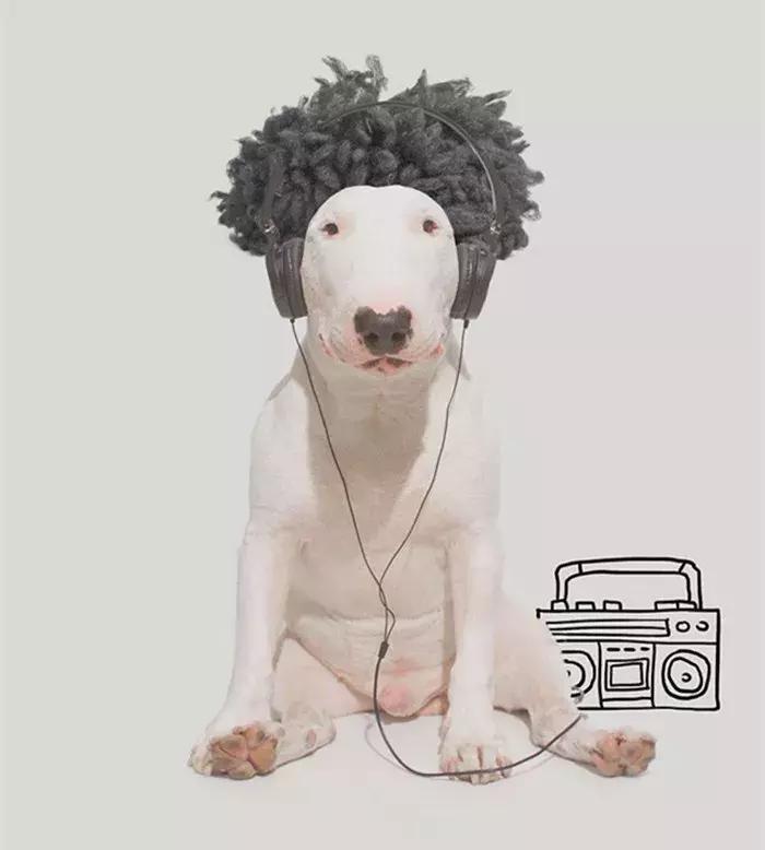 牛头梗的简笔画,牛头梗简笔画