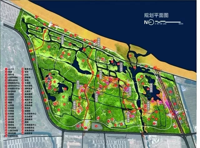 青岛市西海岸中央公园图片,青岛新建公园效果图