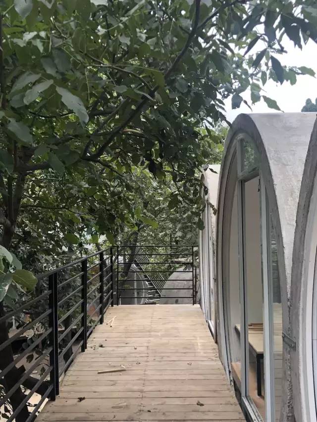 「乡村振兴」what？水泥管里建别墅？林州也要有胶囊公寓啦！