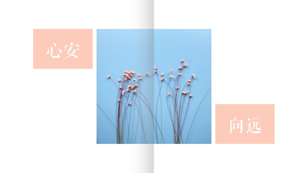 ppt翻书样式免费模板,翻书立体效果ppt模板