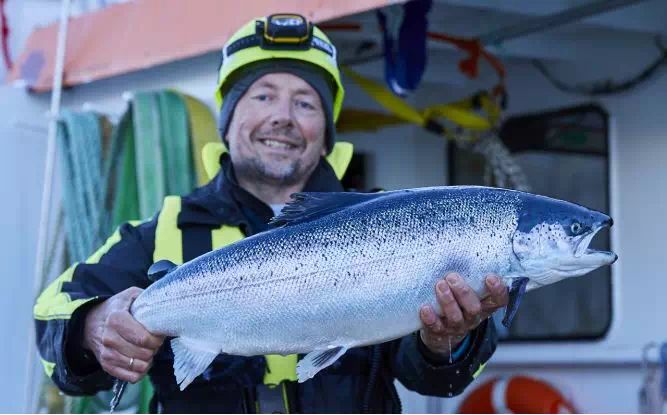 盒马有什么可以加工的,盒马当下阶段的挑战是什么