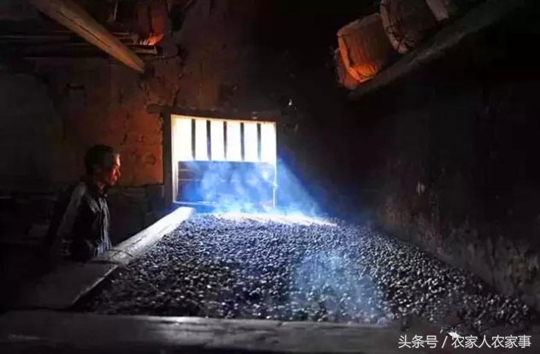 探访赣南传统手工榨‘’木梓油‘’（茶油）的工艺流程