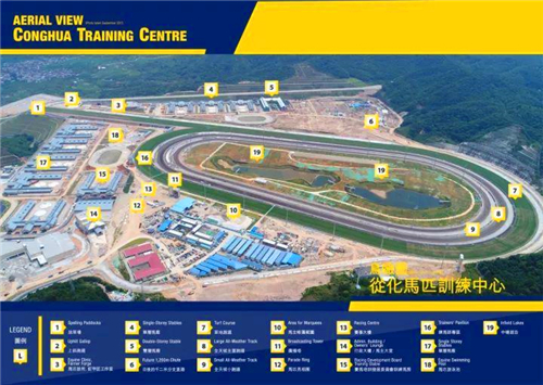 香港赛马会沙田马场,香港从化马场视频