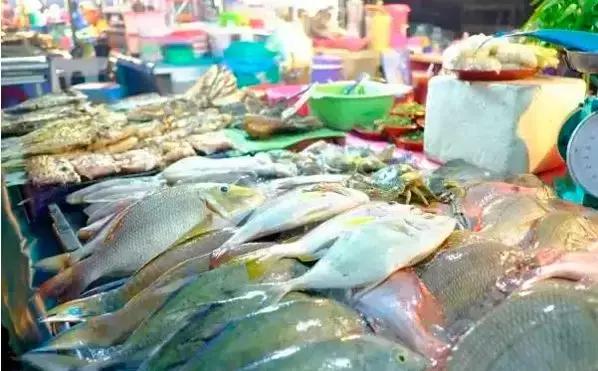 开海了有什么海鲜推荐买的,开海了海鲜去哪里买