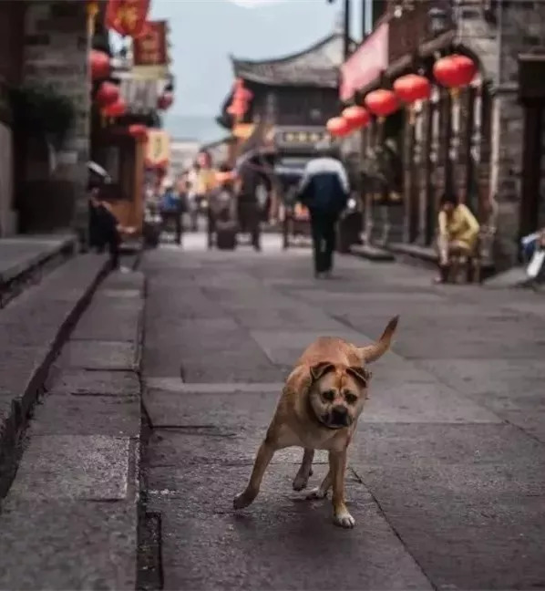 一个月让你免费走遍台州！这份9月台州旅行指南你一定需要收藏！