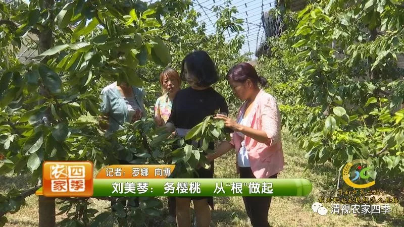 渭南市第二届最美职业农民候选人,渭南最美职业农民候选人