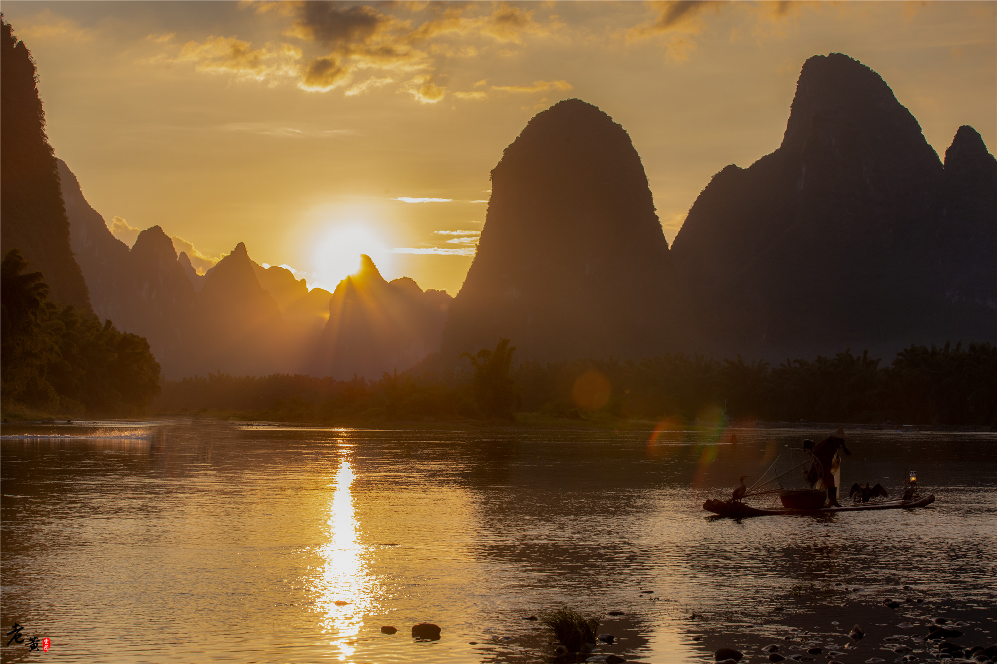 阳朔体验鱼鹰捕鱼,兴坪一日游之鸬鹚捕鱼记