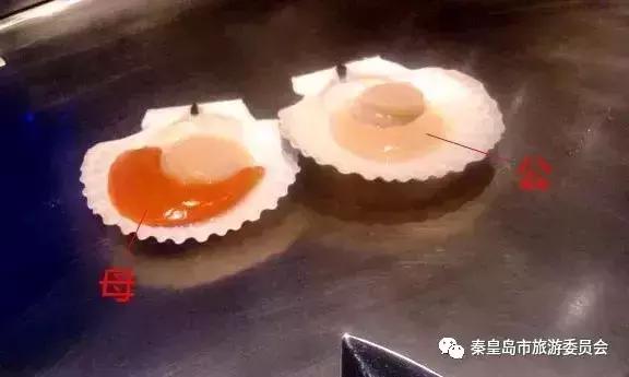 有一种炫富叫开海节,威海有一种炫富叫做开海了