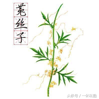 脾肾虚尿床多,儿童肾气不足爱尿床的症状有哪些