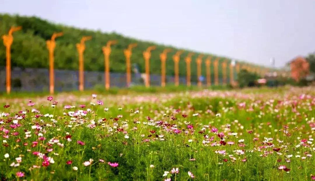 乐山是世界文化旅游名城,乐山最为代表的景点有哪些