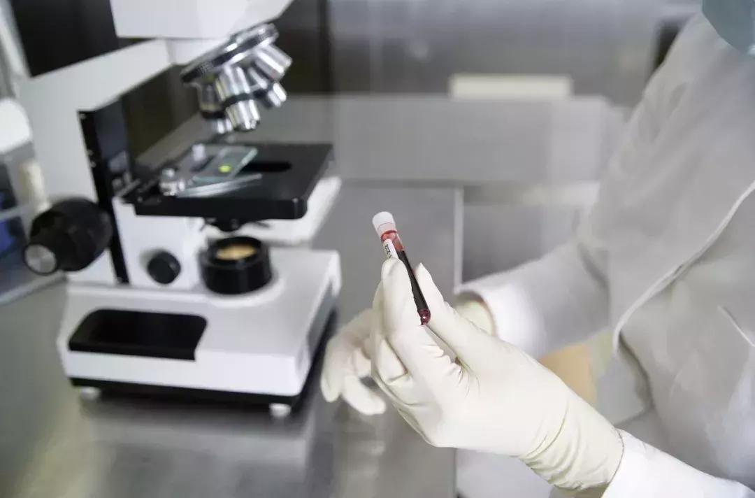 柚子皮去甲醛还是活性炭去甲醛,除甲醛最有效的方法柚子皮