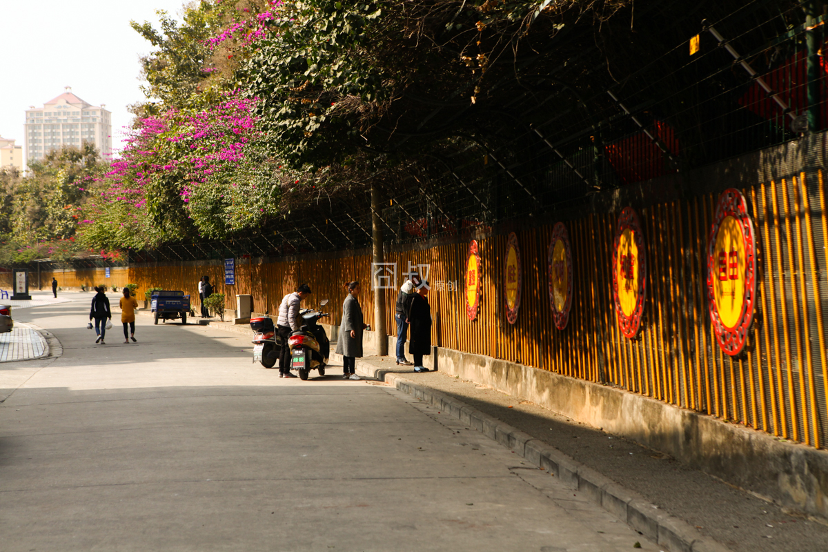 囧叔带你逛逛云南瑞丽那些游客找不到东西新鲜又实惠的市场