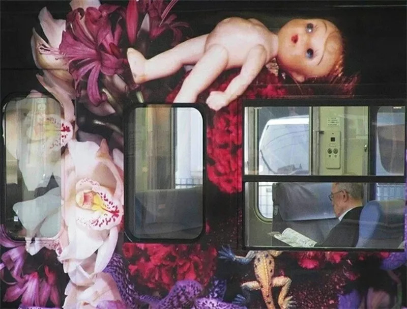 兰波与花朵｜这朵花的名字叫做“名字”