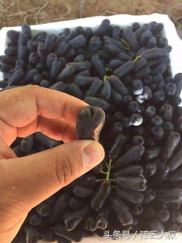 4种难得一见的最独特水果,极为罕见的6种水果有哪些