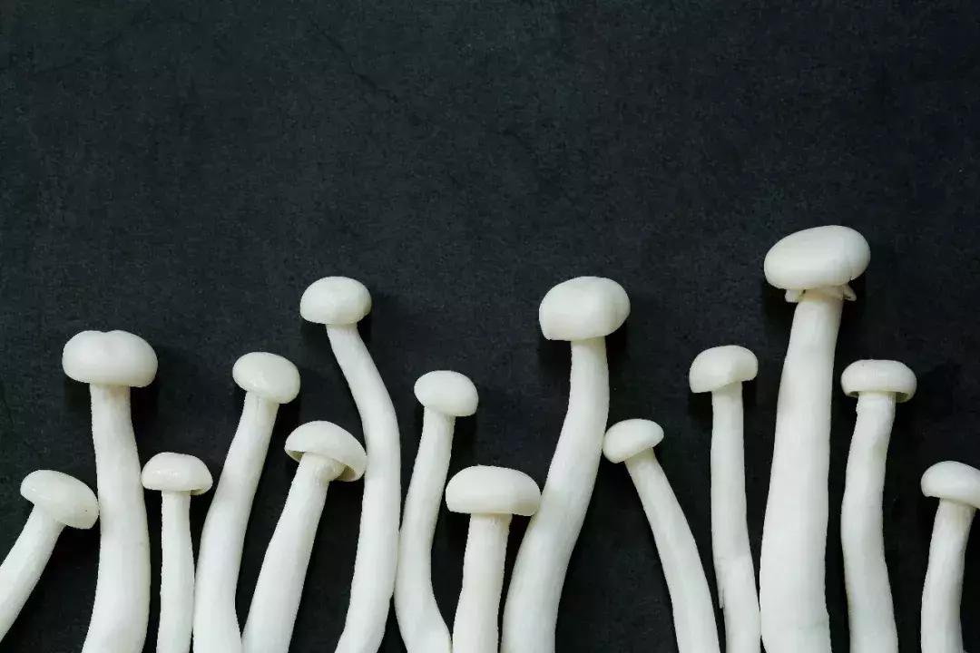 蘑菇怎么那么多啊,蘑菇要怎样吃才知道没有毒