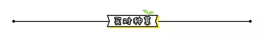 ysl口红1966平替阿玛尼,阿玛尼黑管口红405和ysl28