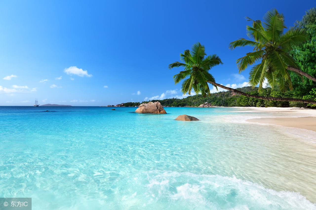 三年级语文课外阅读练习题及答案,三年级学生课外阅读上存在的问题