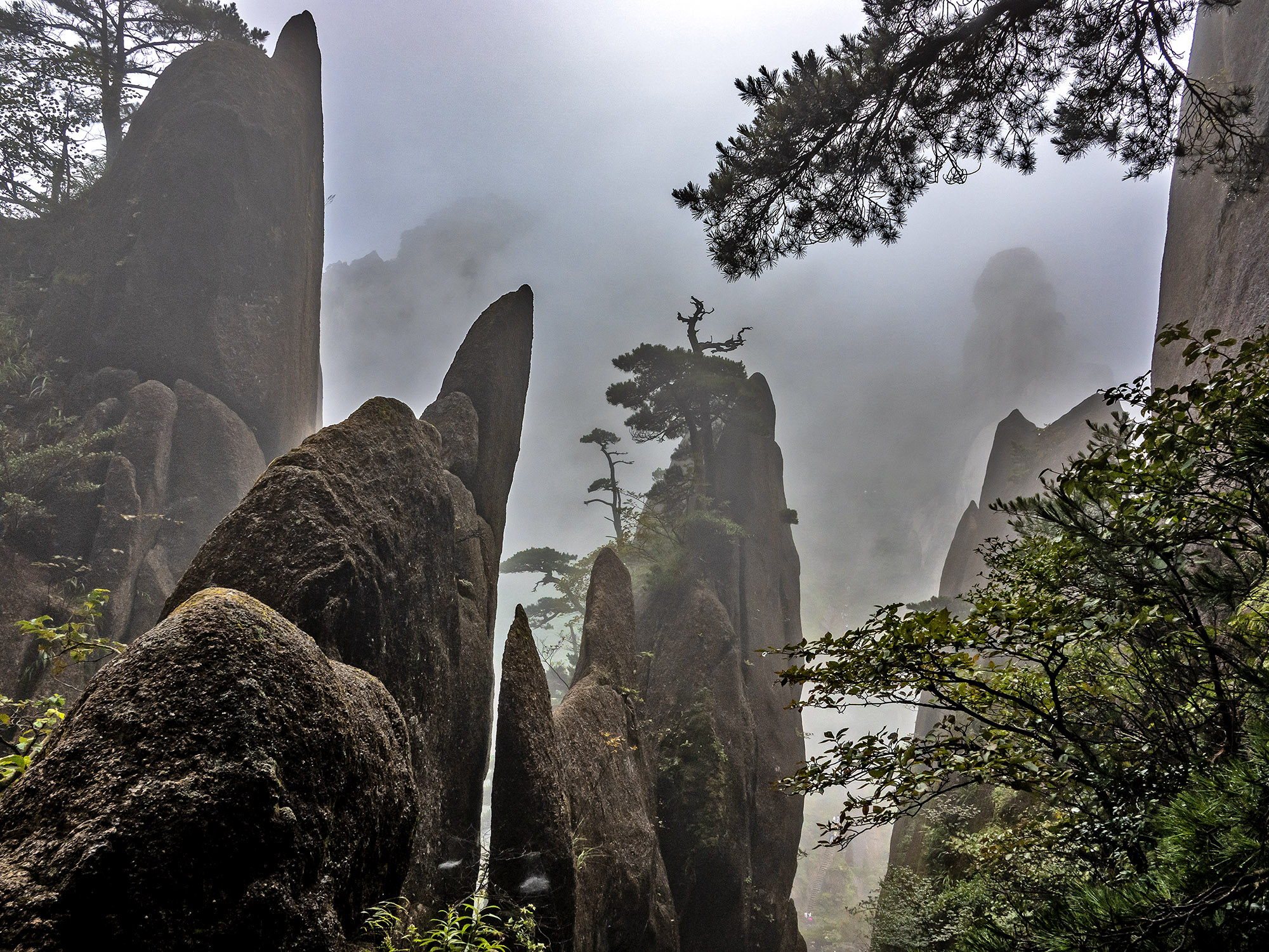 一支香烟毁掉了一家公司,一支烟毁了一生