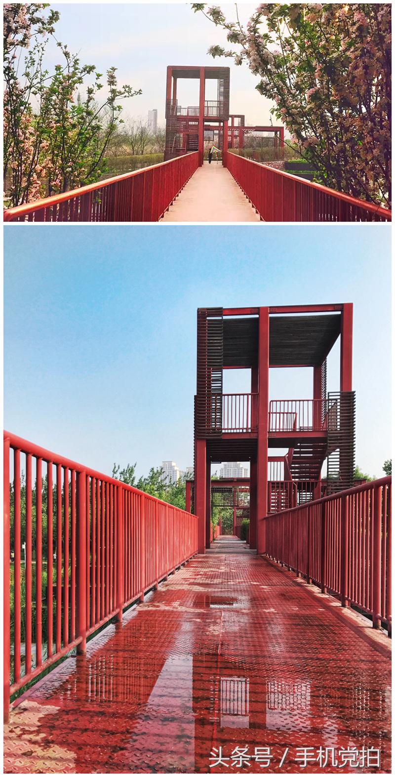 一座桥的20种拍法|教你一招提升“手机摄影观察力”