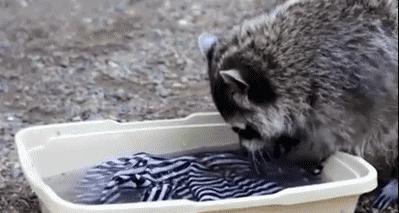 衣服标签看出多少支棉,衣服的安全等级是随便标的吗